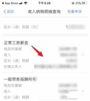 个人所得税app怎么看自己交的税 查询纳税明细记录方法