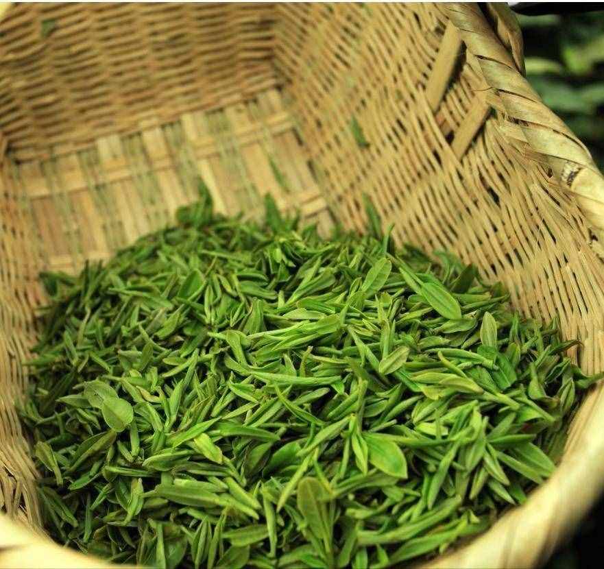 中国十大名茶的美丽传说-龙井茶的传说故事